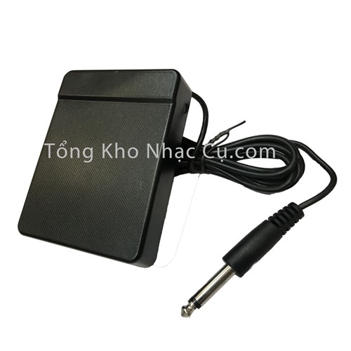 Pedal Đàn Organ P02